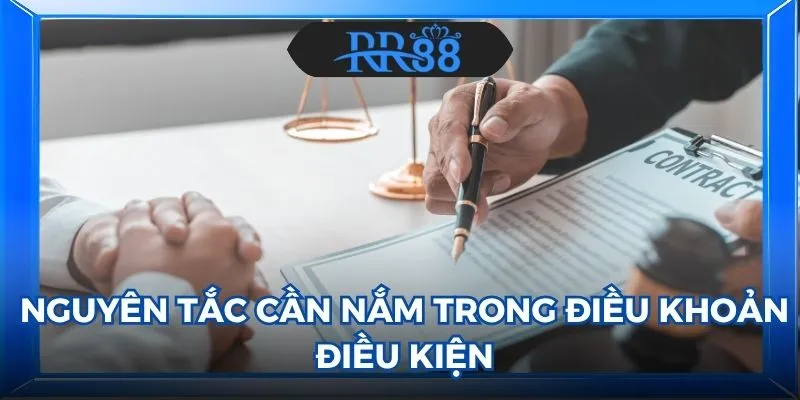 điều khoản điều kiện