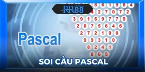 Soi Cầu Pascal